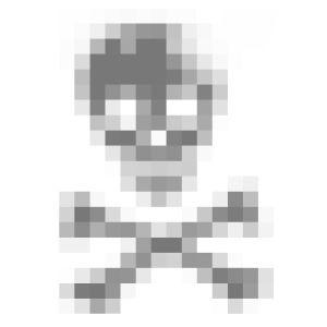 Ｔシャツ ボディから浮き出てるようなモザイクスカル デザインTee |  | 04