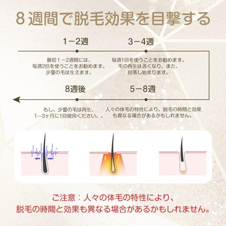 高い品質 Ipl光脱毛器 Vio対応 女性 メンズ 脱毛機 冷感脱毛器 脱毛器 家庭用脱毛器 フラッシュ自動照射 男性 レディース 40万回照射 5段階調整 母の日 ギフト 送料無料 年最新海外 Www Technet 21 Org