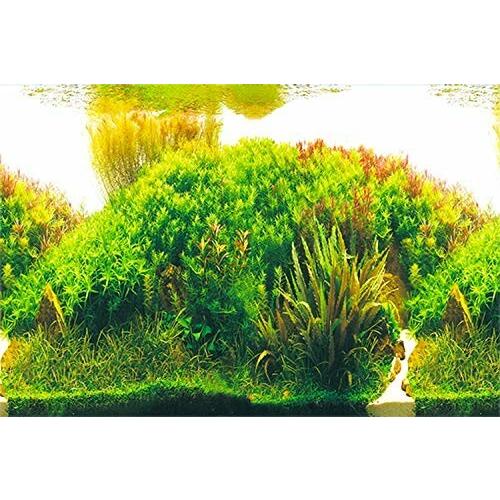 水槽 魚タンク バックスクリーン 両面印刷 背景 水族館ポスター 水槽の飾り E 60x40cm ダイヤモンドスナップ 通販 Yahoo ショッピング