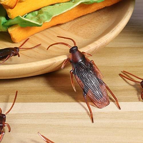 ゴキブリおもちゃ 偽ゴキブリ キモイ リアル びっくり 怖い いたずら道具 100個入り ダイヤモンドスナップ 通販 Yahoo ショッピング