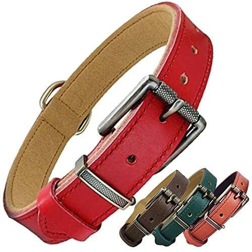 犬首輪 犬用首輪 ベーシック ベルト 本革 犬 首輪 中型犬 大型犬 犬の首輪 くびわ 犬用品 (L オレンジ)