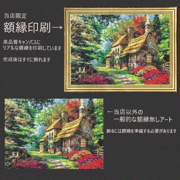 AM-156 ダイヤモンドアート ビーズアート カラフル 曼荼羅 風水