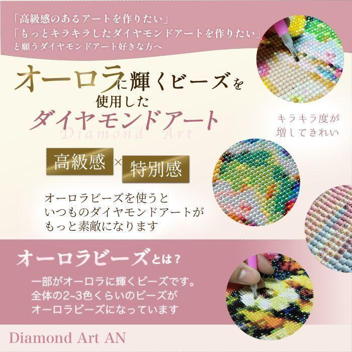 AMAB-38【オーロラビーズ使用】ダイヤモンドアートAN 手芸キット 額縁