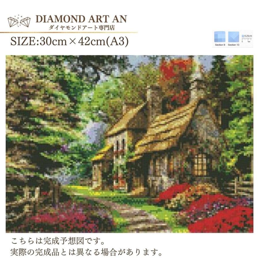AM-42 ダイヤモンドアート キット 田舎 グラデーション 額縁印刷 A3