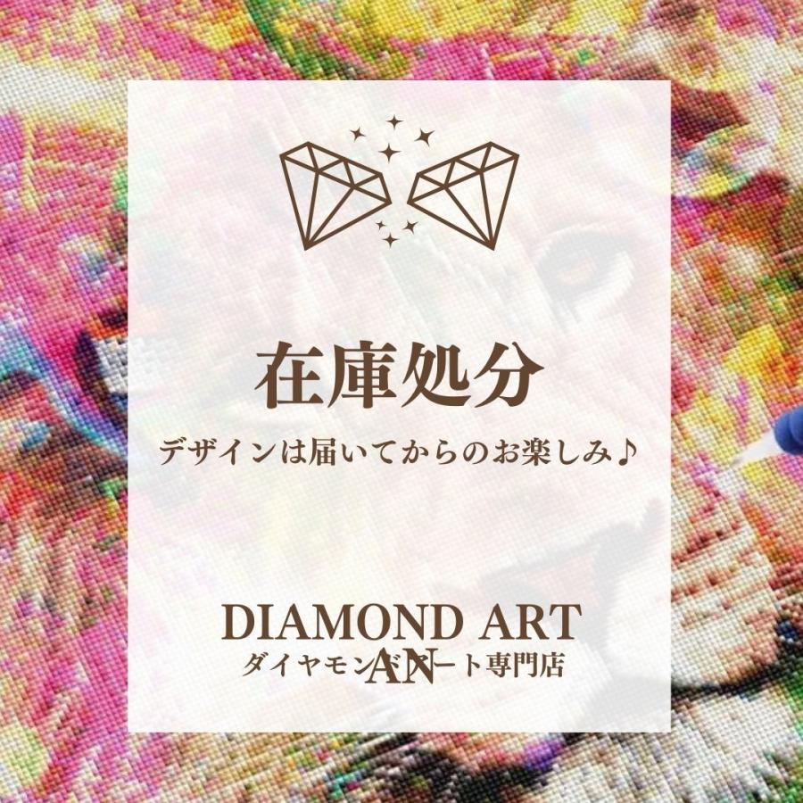 SALE 売店 ダイヤモンドアート 福袋 送料無料激安祭 何のデザインかは届いてからのお楽しみ