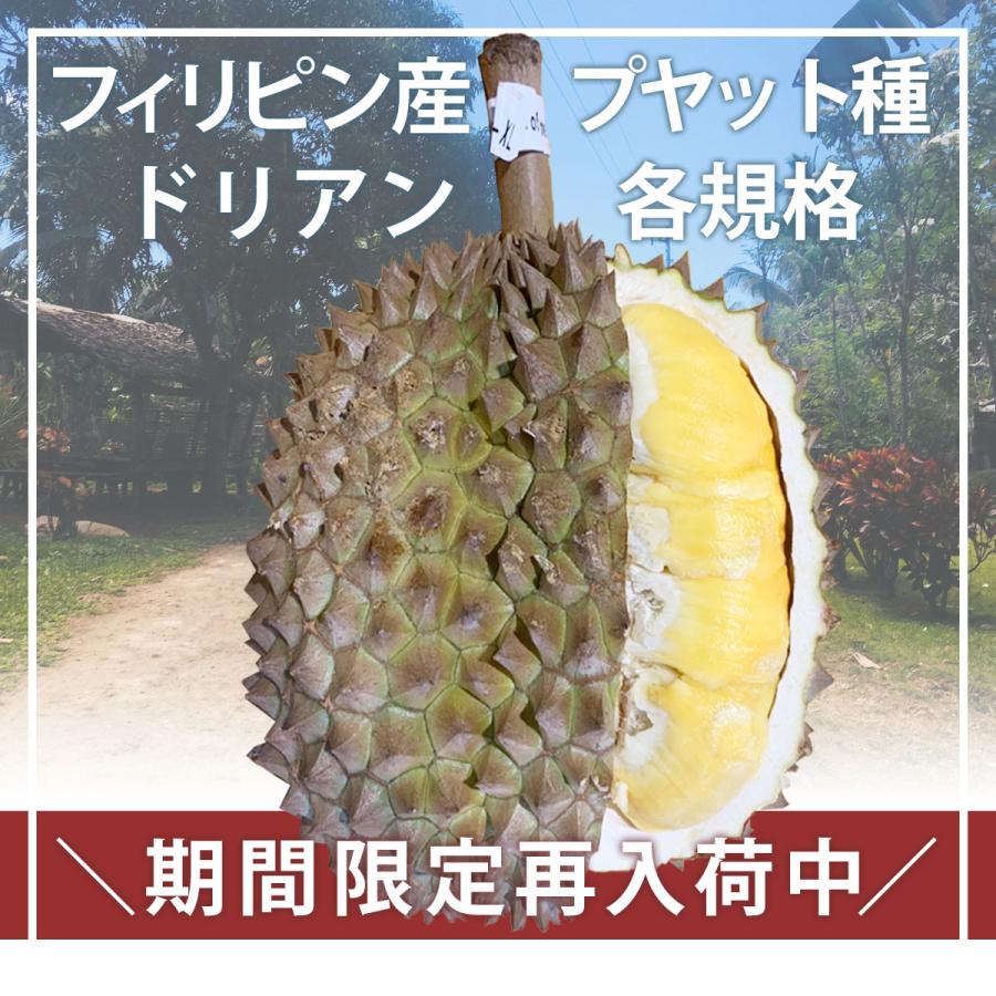 直営店 タイ産 ドリアン 生鮮 フレッシュ フルーツ 榴蓮 果物の王様XL