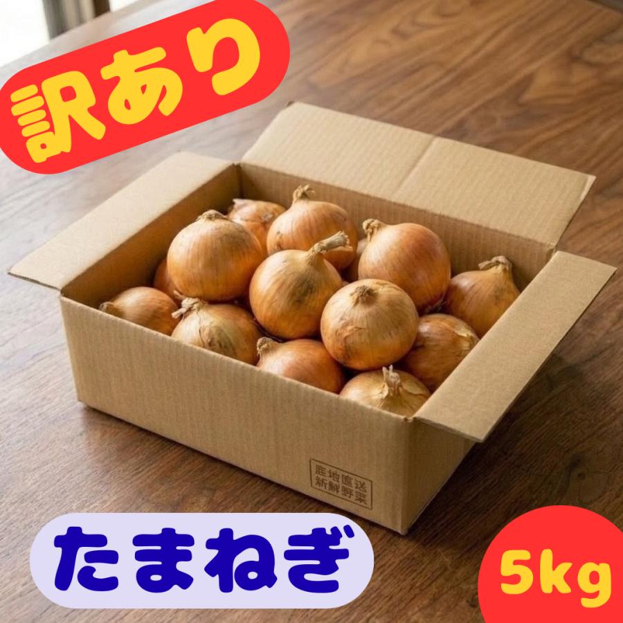 九州産 産地直送 訳あり 玉ねぎ 5kg 送料無料 たまねぎ タマネギ