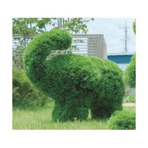 屋外用 動物型 トピアリー フェイクグリーン ゾウs ガーデニング 幅30 奥行45 高さ45cm 日本製 幅30 奥行45 高さ45cm オーナメント オブジェ Ds 光の楽園 ガーデニング 園芸 代引不可 Indiyce 東京 正規 店