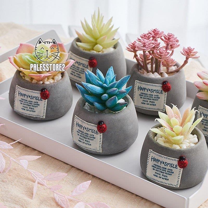 人工観葉植物 造花 多肉植物 ミニ 植物鉢植え 枯れない 観葉植物 可愛い 偽盆栽 装飾用 開店 室内 ホーム 庭 デコレーション インテリア プレゼント Des Dienストア 通販 Yahoo ショッピング