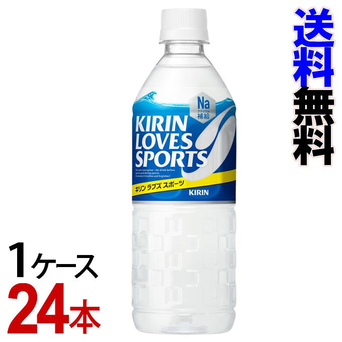 アサヒ飲料 スーパーh2o ドデカミン 600mlペットボトル 24本入 スポーツドリンク エナジードリンク Pet 熱中症対策 2ケース 送料無料
