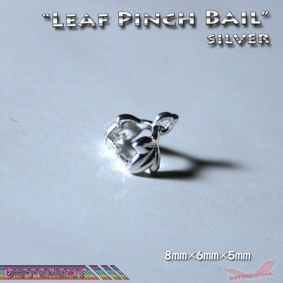 リーフデザインのバチカン | 