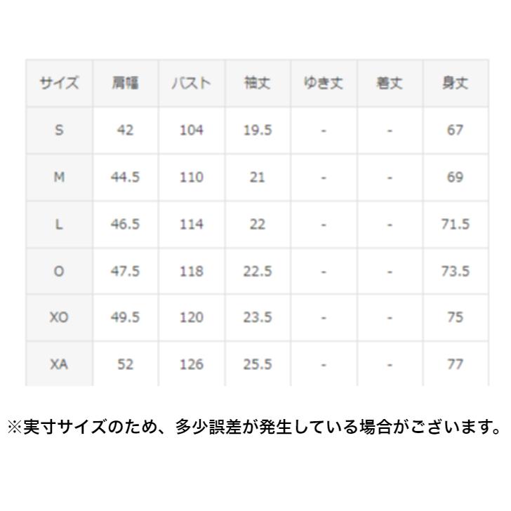 MOVESPORT 【メール便だと送料無料】MVSP 半袖シャツ DESCENTE