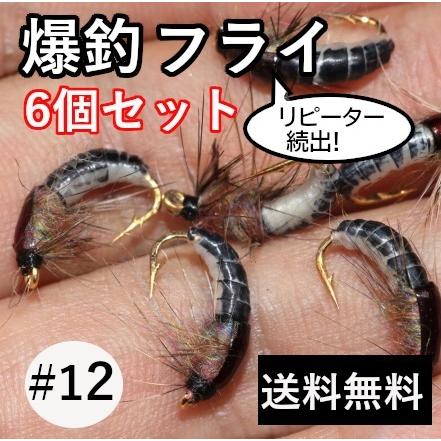 ニンフ　フライ6個　#12　スカッド　ルアー　エリアトラウト　爆釣　渓流　毛バリ　管釣り　管理釣り場　ニンフフライ　カディスピューバ | 