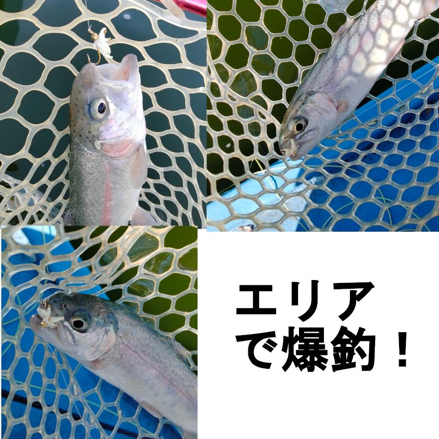 フライ　ぶどう虫 フライ　4個セット　ニンフフライ　　渓流　 管理釣り　爆釣　 完成フライ 毛ばり テンカラ 毛鉤　フライフィッシング　｜digdigup｜05