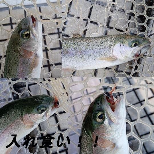 完成品フライ 3個セット スカッド ルアー エリアトラウト 爆釣