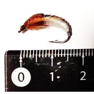 ニンフ　フライ　6個セット　#10　BIG　スカッド　ルアー　エリアトラウト　爆釣　渓流　毛バリ　管釣り　管理釣り場　ニンフフライ　カディスピューバ |  | 01