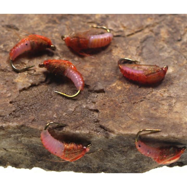 ニンフ　フライ　ニンフフライ　6個セット　#12　スカッド　エビ　サビキ　ルアー　エリアトラウト爆釣　渓流　毛バリ　管釣り　海老 |  | 03