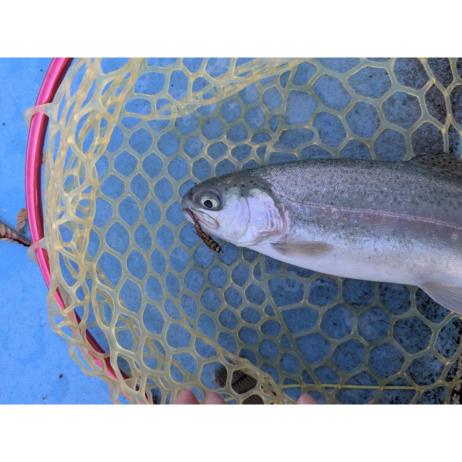ニンフ フライ 4個 ニンフフライ　#10　幼虫　昆虫　スカッド　ルアー　エリアトラウト　爆釣　渓流　毛バリ　管釣り　水生昆虫　渓流釣り |  | 06
