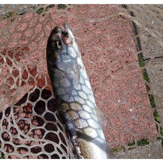 ニンフ フライ 4個 ニンフフライ　#12　幼虫　昆虫　スカッド　ルアー　エリアトラウト　爆釣　渓流　毛バリ　管釣り　赤　青　緑　黄色 |  | 06