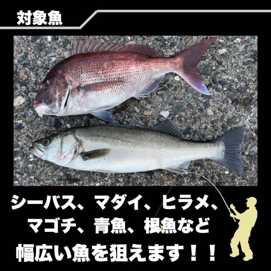 ジグヘッドワーム　5個セット　30g　シャッドテール　青物　海釣り　ヒラメ　ルアーセット |  | 02