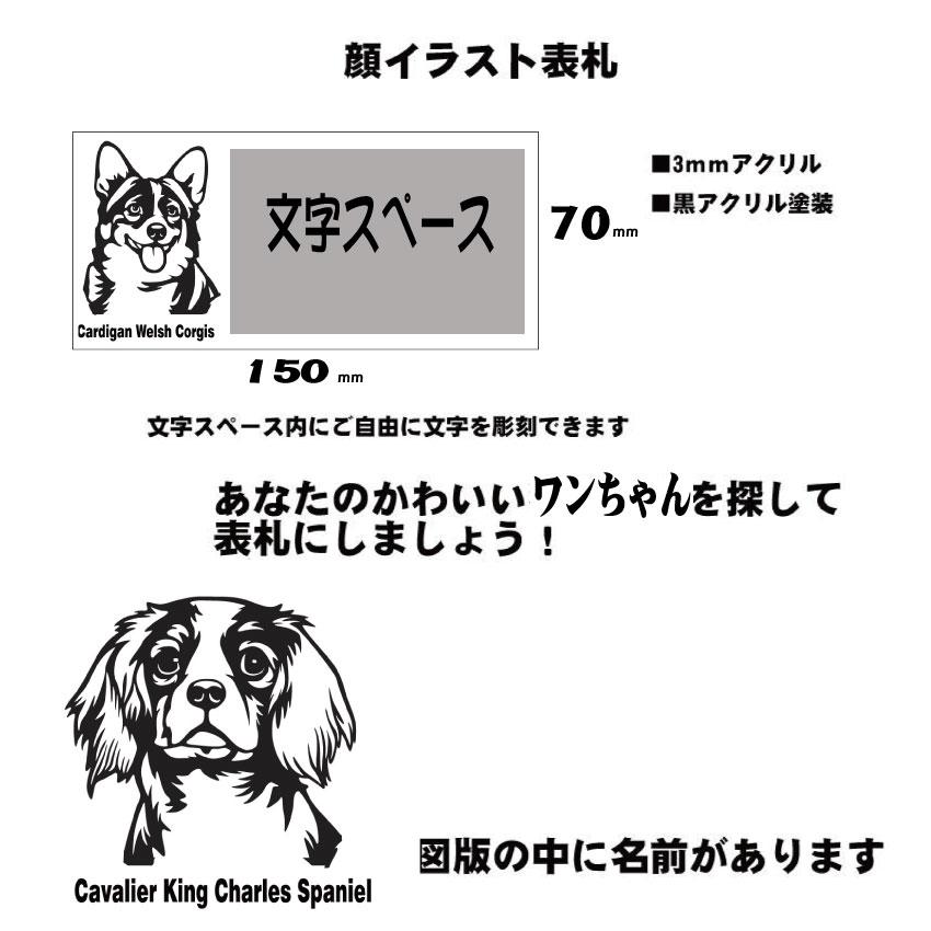 犬顔イラストアクリル表札 |  | 05