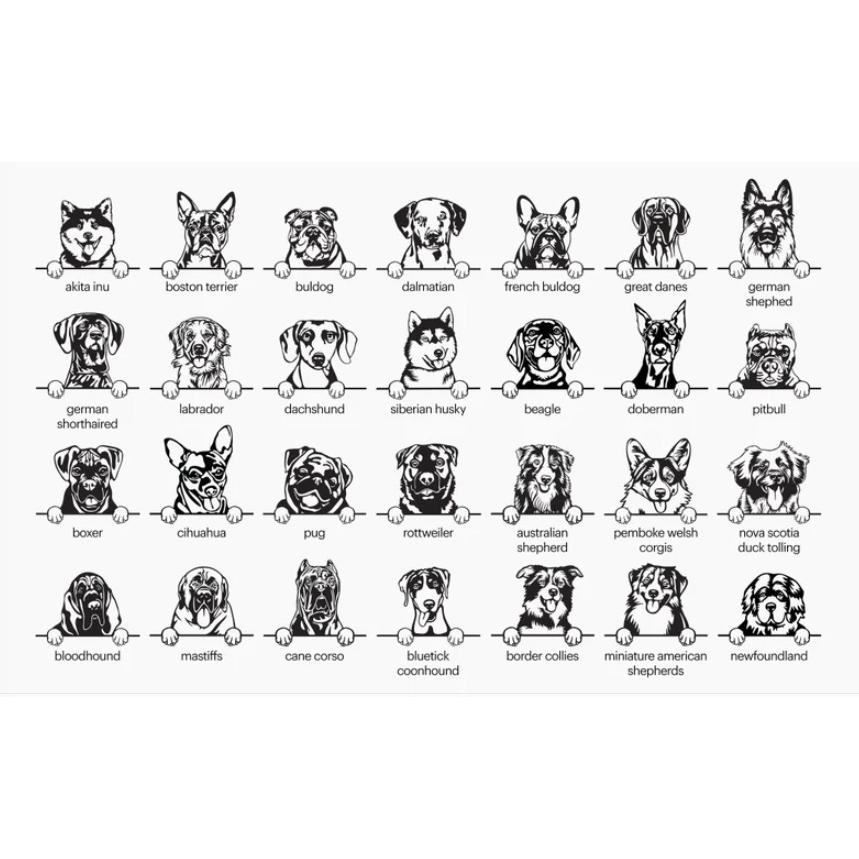 『 犬顔イラスト金属カード[名入れ料込み] |  | 04
