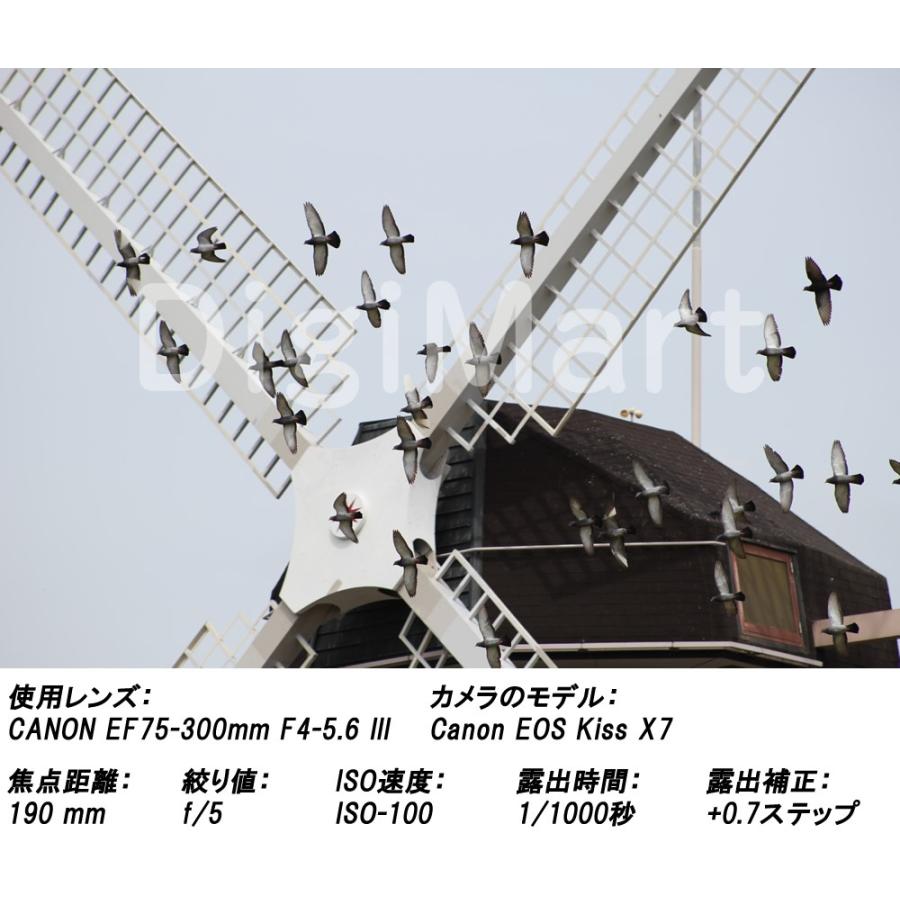 EFレンズ キヤノン Canon EF75-300mm F4-5.6 III 激安望遠ズーム EFレンズ キヤノン Canon EF75-300mm F4-5.6 III 激安望遠ズーム