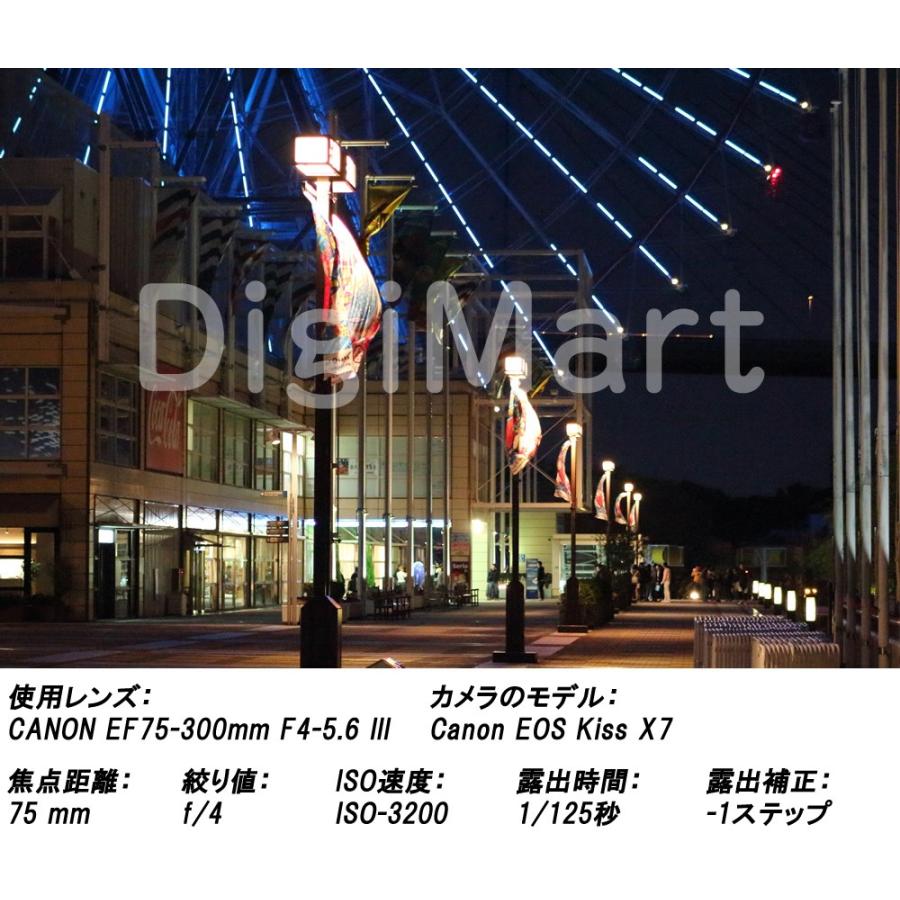 EFレンズ キヤノン Canon EF75-300mm F4-5.6 III 激安望遠ズーム EFレンズ キヤノン Canon EF75-300mm F4-5.6 III 激安望遠ズーム