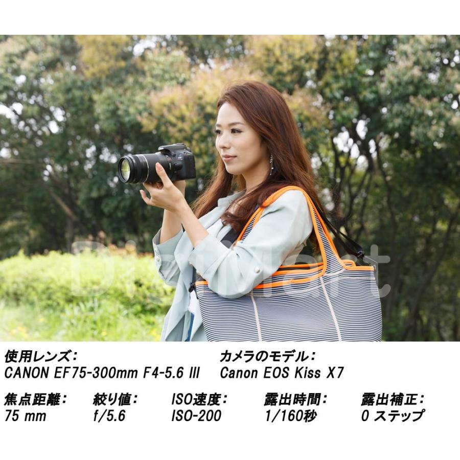 キヤノン Canon EF75-300mm F4-5.6 III 激安望遠ズームレンズ【新品・並行輸入品・保証付き】｜digimart-shop｜04