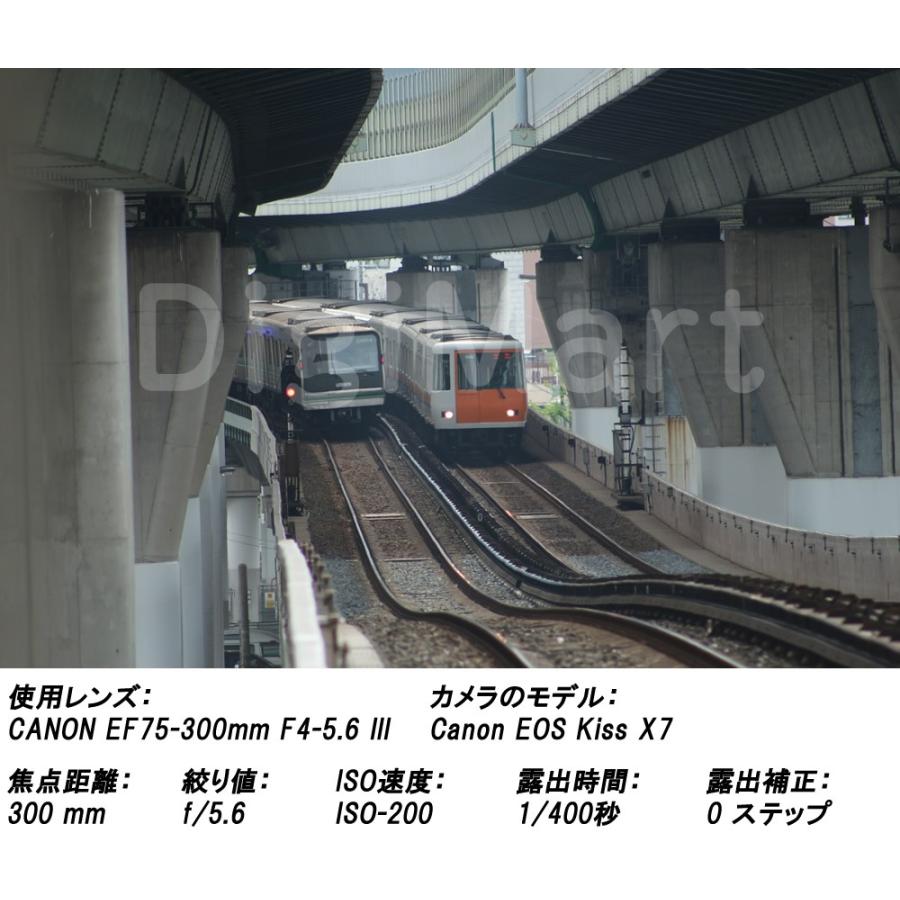 EFレンズ キヤノン Canon EF75-300mm F4-5.6 III 激安望遠ズーム EFレンズ キヤノン Canon EF75-300mm F4-5.6 III 激安望遠ズーム