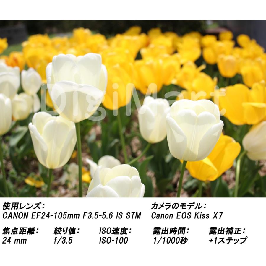 キヤノン Canon EF24-105mm F3.5-5.6 IS STM ズームレンズ 【新品 