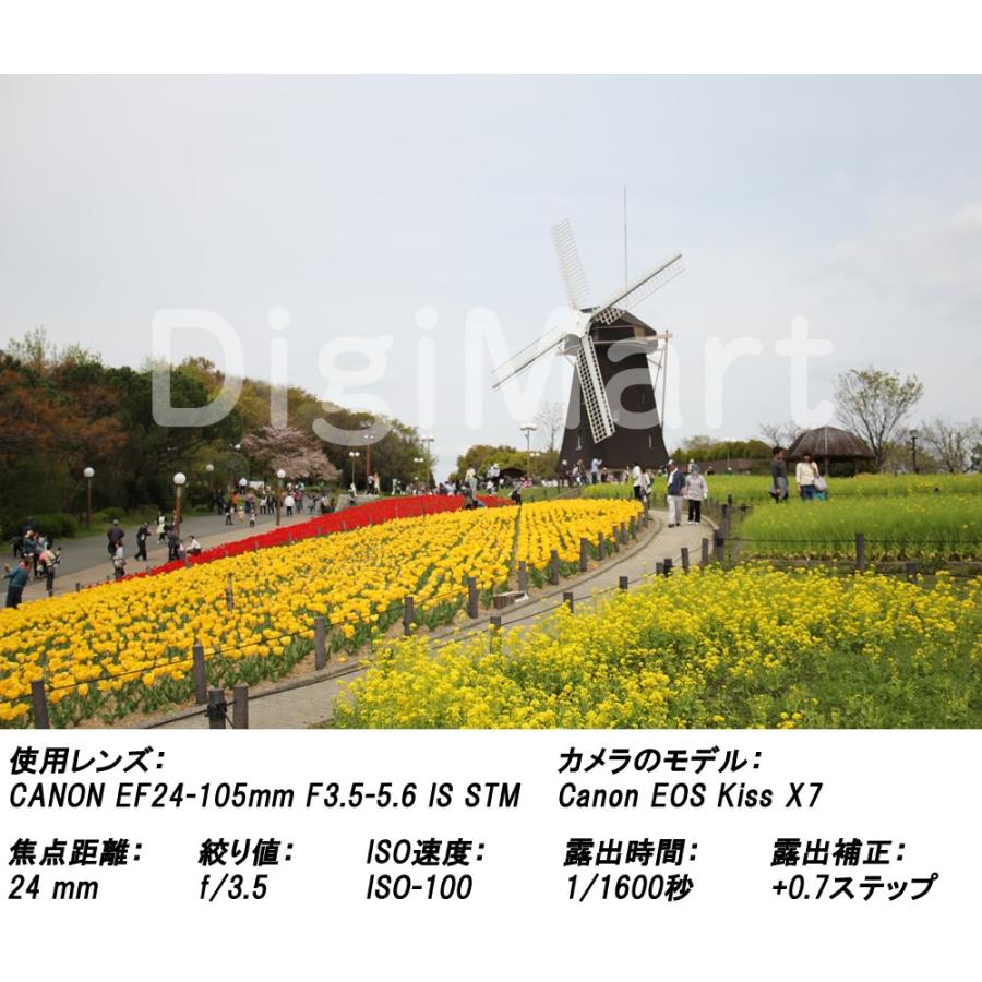 キヤノン Canon EF24-105mm F3.5-5.6 IS STM ズームレンズ 【新品 
