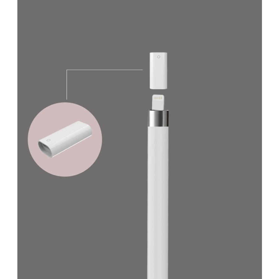 apple pencil 充電 コネクタ アップルペンシル Lightning