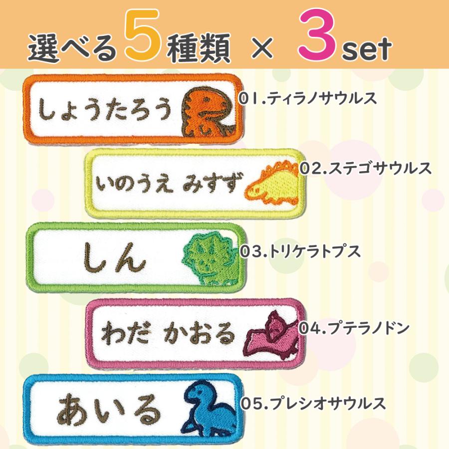 お名前ワッペン 横長型 恐竜 きょうりゅう dinosaur 選べる3枚セット