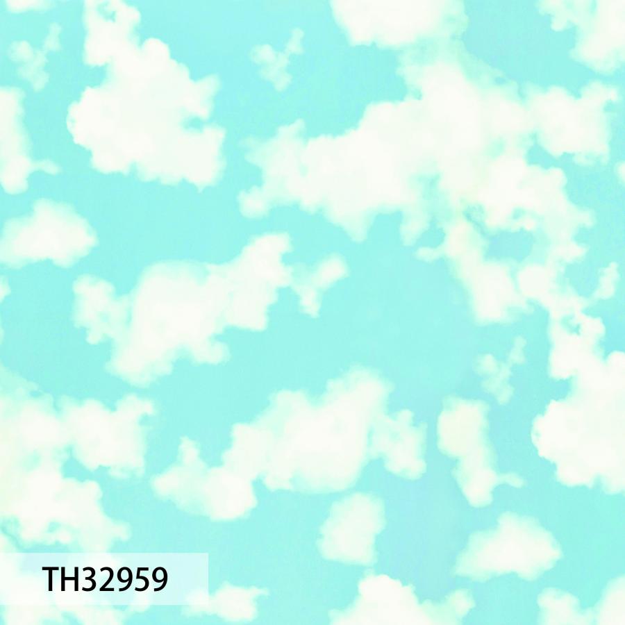 サンゲツ（SANGETSU） 壁紙 クロス のり無し DIY リフォーム 空 雲