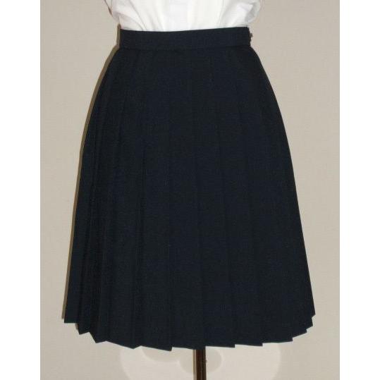 冬 制服 プリーツスカート 50cm丈 学校標準服 W100cmまで 新品 Amazon.co.jp: [ドールコレクティブル] 日本製 冬プリーツ