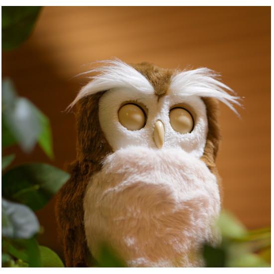 タカラトミーアーツ 【電池プレゼント】開運アドバイザー