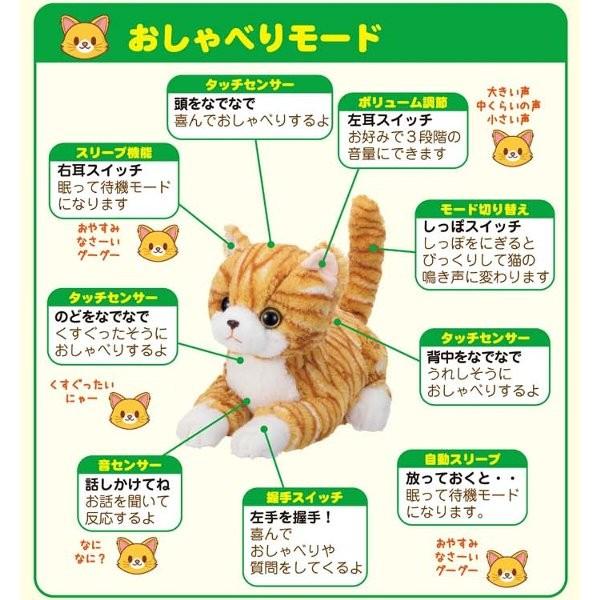 あすつく】イワヤ 今日から家族 なごみケーションにゃんこ 茶トラ 大人