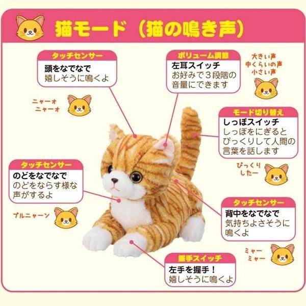 あすつく】イワヤ 今日から家族 なごみケーションにゃんこ 茶トラ 大人