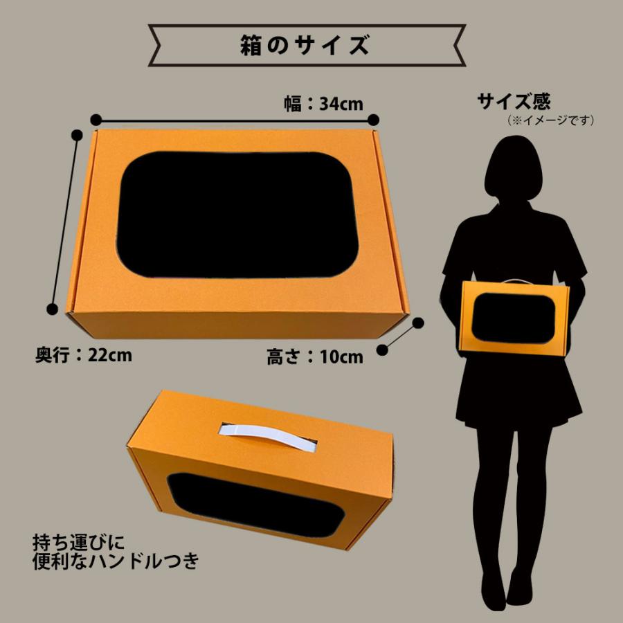 instax mini 【ギフト チェキB】富士フィルム チェキ インスタント