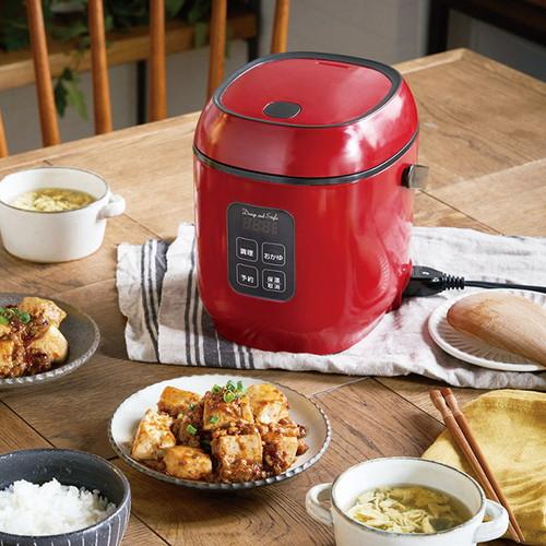 D&S コンパクトライス&フードクッカー DS.8700(A4)送料無料・包装無料