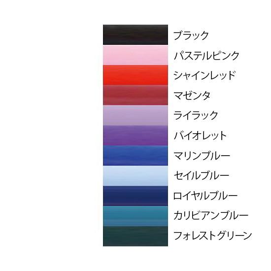 フォーカルコーポレーション　フォーカルトーン　エキスパート　ライラック 　expert　4516638009682 【方】