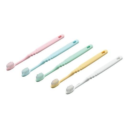 歯ブラシ（業務用）50本 : トキワダイレクト ヤフー店 - 通販 - Yahoo