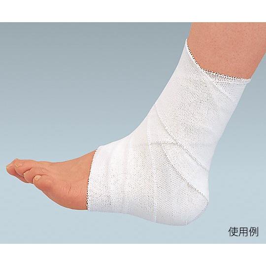 品質のいい 衛生 清拭 介護 医療用品 衛生 処置消耗品 エラスコット １１６２４ Www Threeriversofs Com