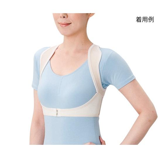 保阪尚希監修 姿勢補正ベルト シャキッとグイーン☆1日5分の姿勢補正