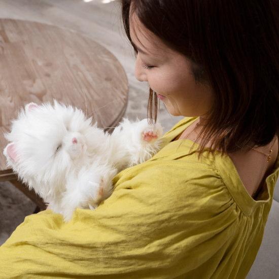 あまえんぼう　ねこちゃん　あなたのパートナー 電池付き！】あなたのパートナー しっぽふりふり あまえんぼう