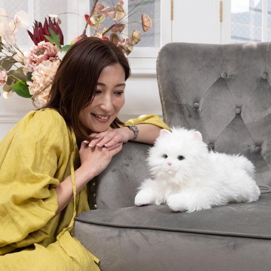 あまえんぼう　ねこちゃん　あなたのパートナー 電池付き！】あなたのパートナー しっぽふりふり あまえんぼう