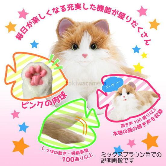 中古】 しっぽふりふりあまえんぼうねこちゃん