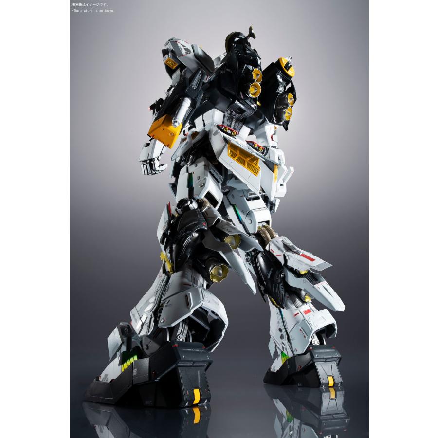 BANDAI（バンダイ） 送料無料◇(代引不可)METAL STRUCTURE 解体匠機 RX