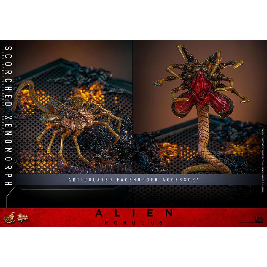 ムービー・マスターピース 送料無料◇ムービー・マスターピース